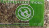 Sphagnum Moss